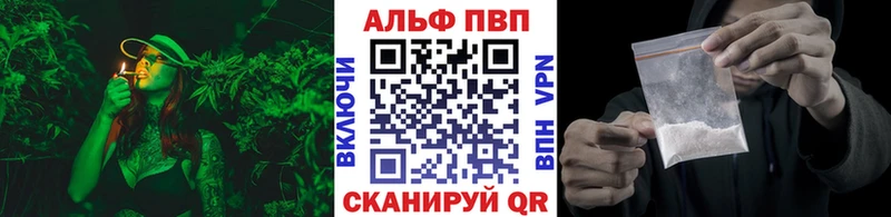 Купить закладки  Высоцк  Alpha PVP СК 
