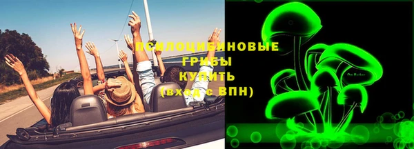 индика Заволжск