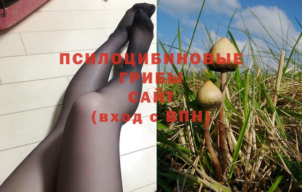 ГАЛЛЮЦИНОГЕННЫЕ ГРИБЫ Заводоуковск