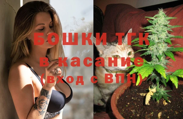 индика Заволжск
