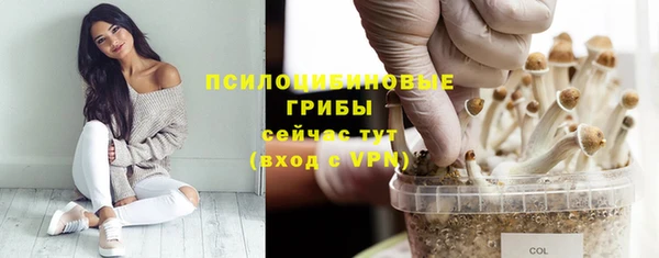 ГАЛЛЮЦИНОГЕННЫЕ ГРИБЫ Заводоуковск