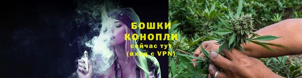 ГАЛЛЮЦИНОГЕННЫЕ ГРИБЫ Заводоуковск