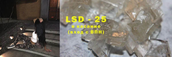 индика Заволжск