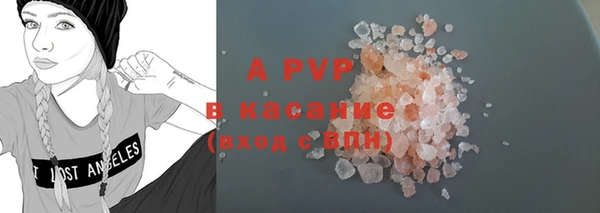 индика Заволжск
