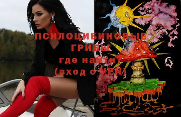 ГАЛЛЮЦИНОГЕННЫЕ ГРИБЫ Заводоуковск