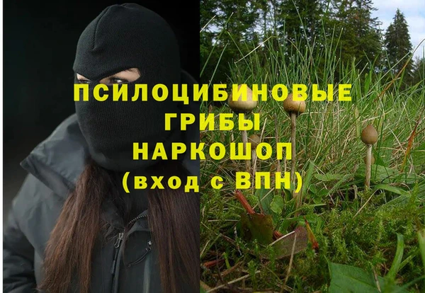 ГАЛЛЮЦИНОГЕННЫЕ ГРИБЫ Заводоуковск
