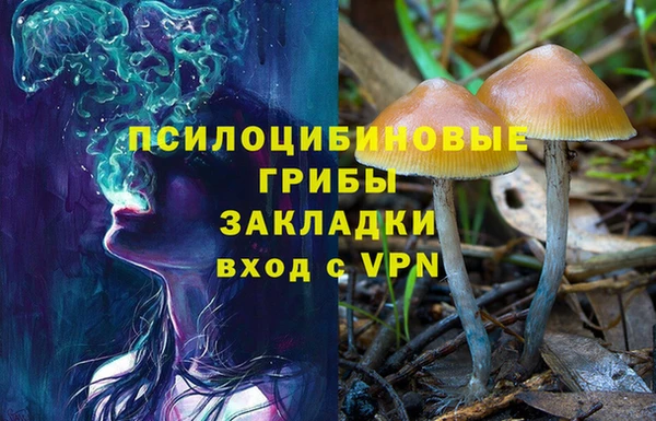 ГАЛЛЮЦИНОГЕННЫЕ ГРИБЫ Заводоуковск