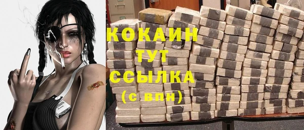 ГАЛЛЮЦИНОГЕННЫЕ ГРИБЫ Заводоуковск