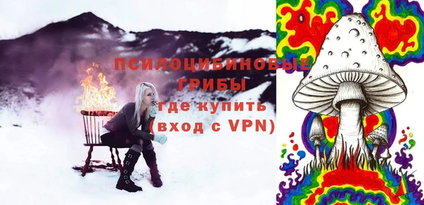 индика Заволжск