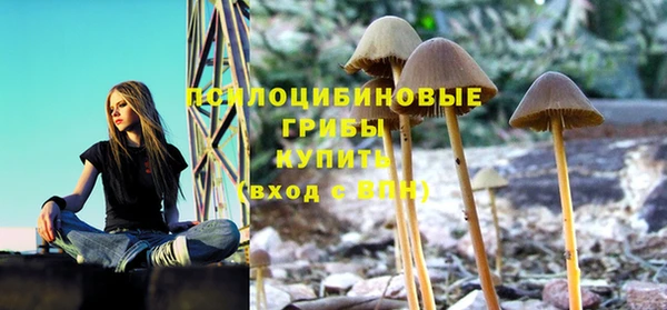 индика Заволжск