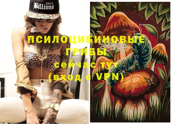 индика Заволжск