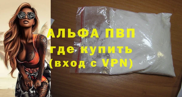 индика Заволжск