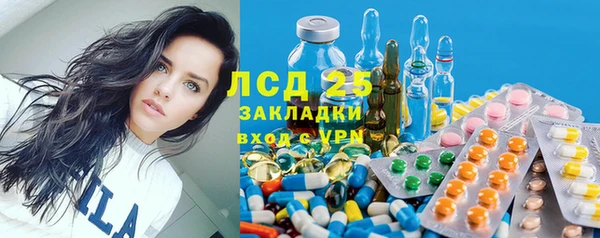 индика Заволжск