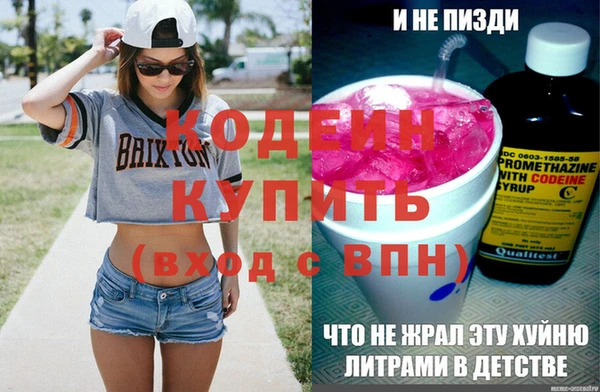 индика Заволжск